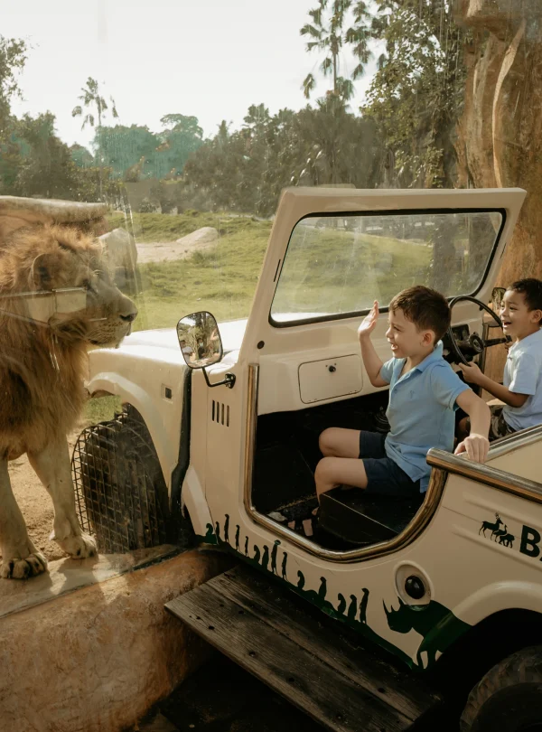 Zoo admission