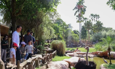 bali zoo 9